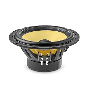 Amazon.com: Focal ES 165 KE - K2 EVO 6.5